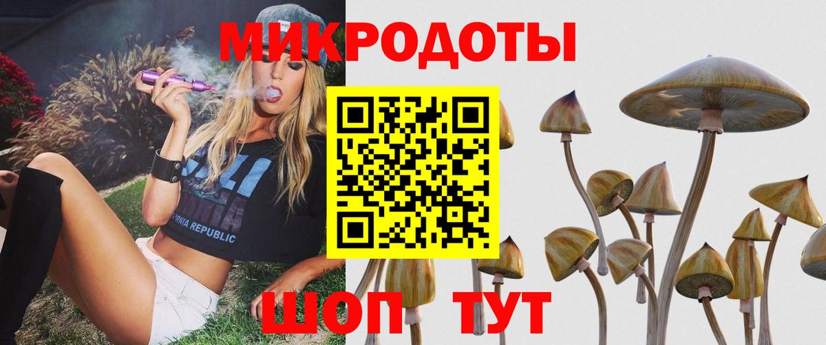 Югорск  цены   Вход с VPN  Псилоцибиновые грибы MAGIC MUSHROOMS  Псилоцибиновые грибы мухоморы 